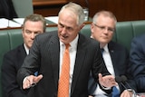 Malcolm Turnbull speaks in Question Time