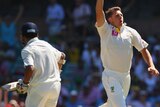 Australia's James Pattinson takes a wicket against India at the SCG in 2012.