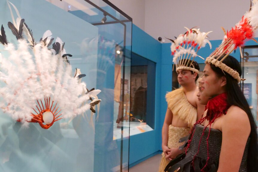 Rotuman royal suru behind glass in a museum made of tall white feathers with black tips and red