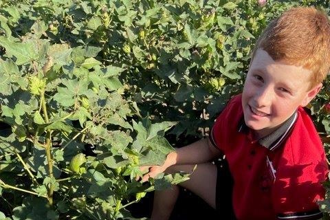 A young red headed boy squats in a field of unflowered cotton grinning after digging up a pair of undies