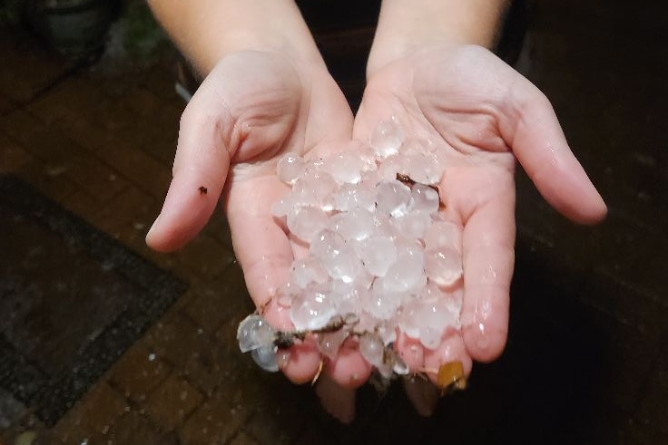 A hand holds large hailstones