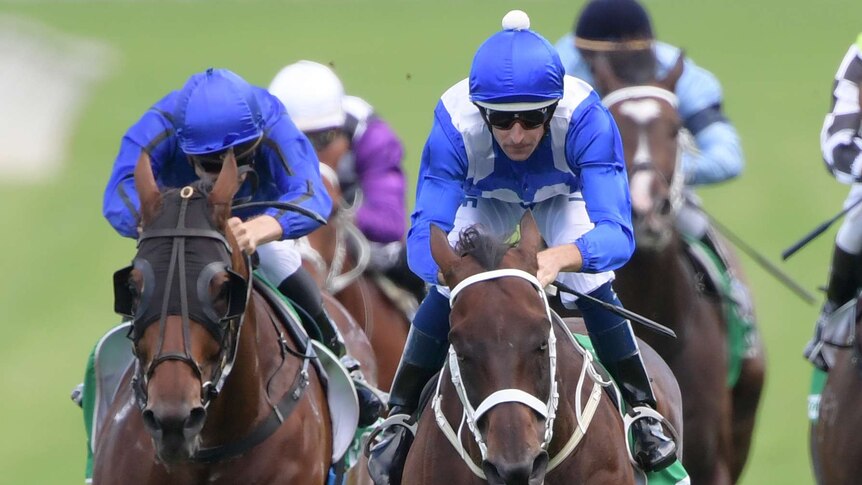 Hugh Bowman rides Winx to victory in the Chipping Norton Stakes.