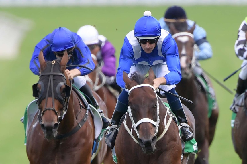 Hugh Bowman rides Winx to victory in the Chipping Norton Stakes.