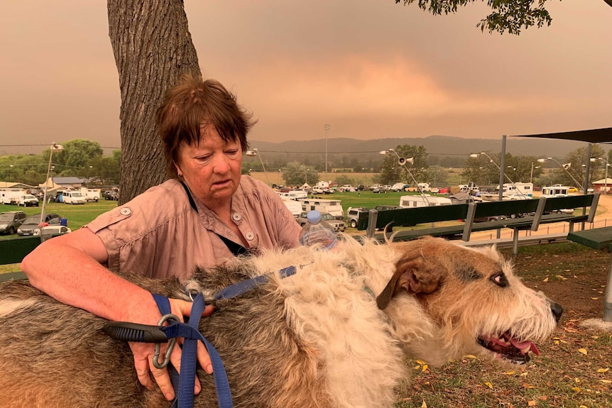 A woman cares for a dog against a smoky, orange sky.