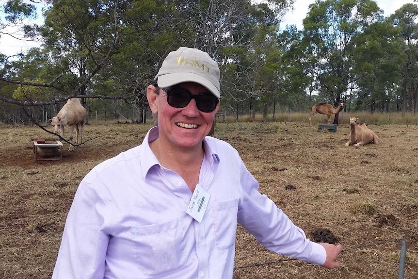 Jason Virtue standing in the foreground with three camels in the background.