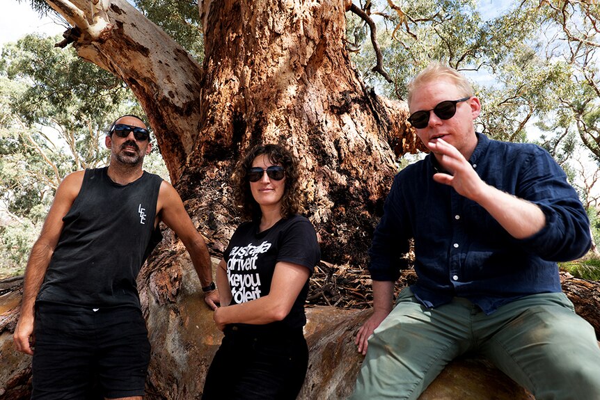Adam Goodes, Angie Abdilla and Baden Pailthorpe in front of a wirra tree.
