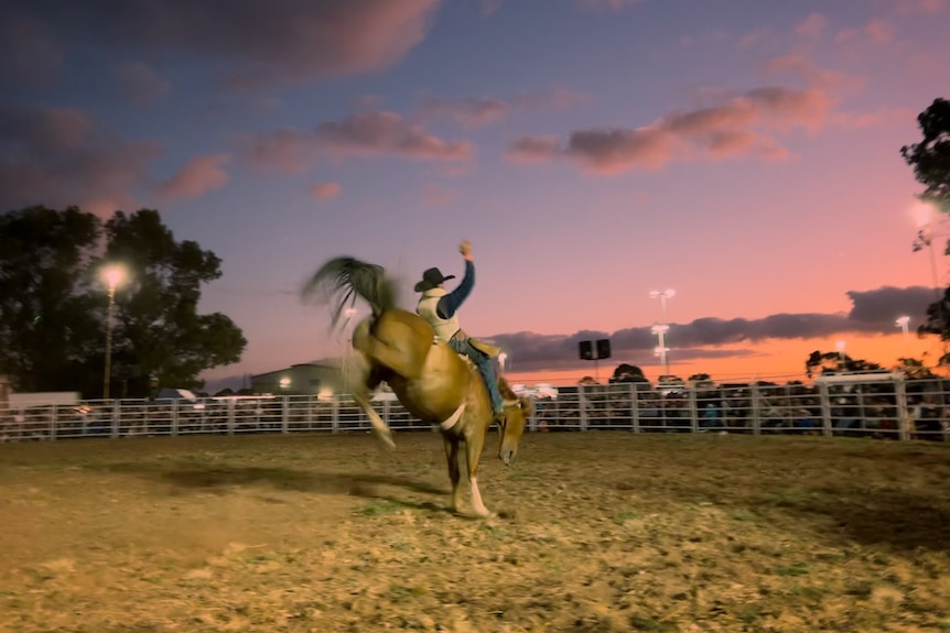 a cowboy with a black hat rides a bucking horse in a sand arena at Penola Rodeo