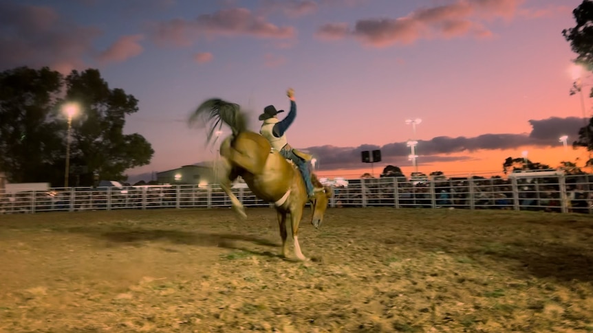 a cowboy with a black hat rides a bucking horse in a sand arena at Penola Rodeo