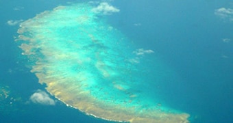 Great Barrier Reef: Scientists use new technology to regenerate Australian  icon - ABC News