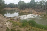 Water spilling over the weir at Wilcannia on Sunday, March 13, 2016.