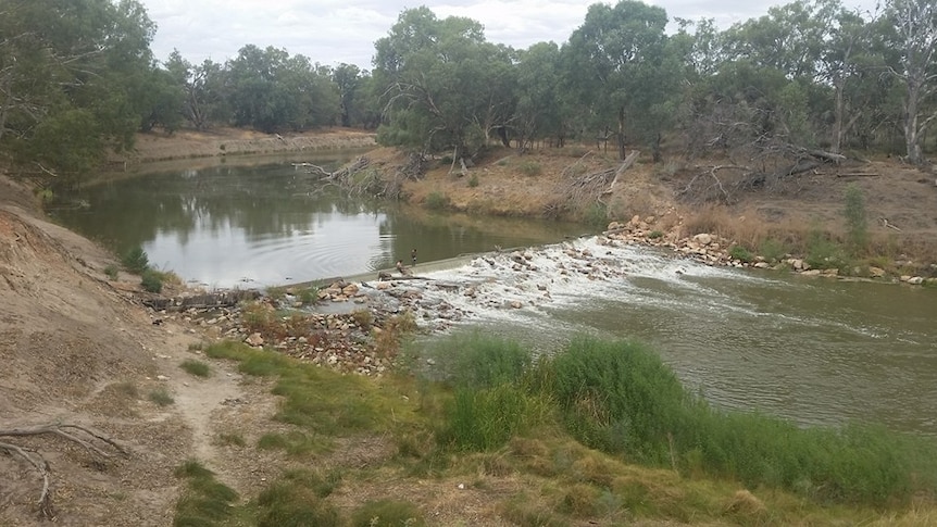 Water spilling over the weir at Wilcannia on Sunday, March 13, 2016.