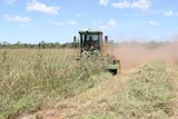 a tractor cutting grass for hay
