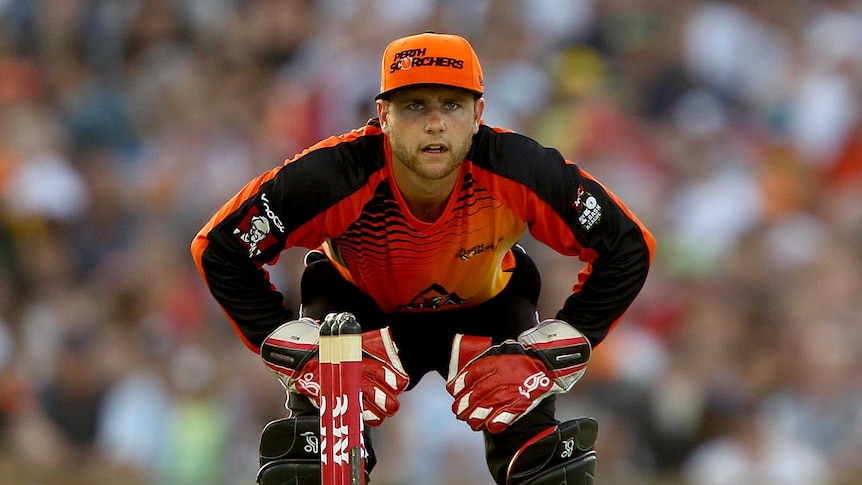 Tom Triffitt keeps for the Perth Scorchers