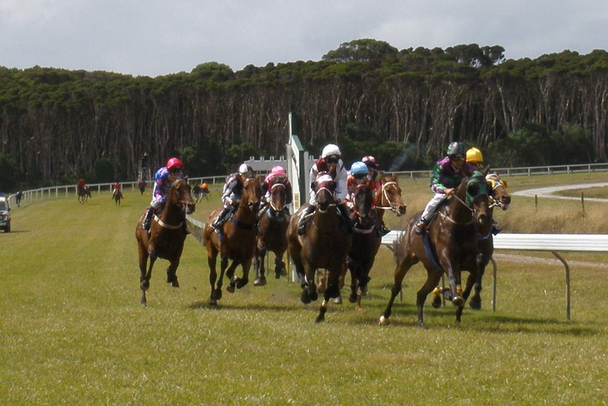 King Island Cup