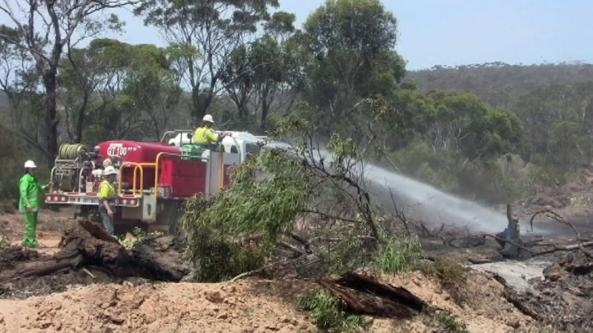 Firefighter in Bremer Bay on truck sprays water on burnt bush