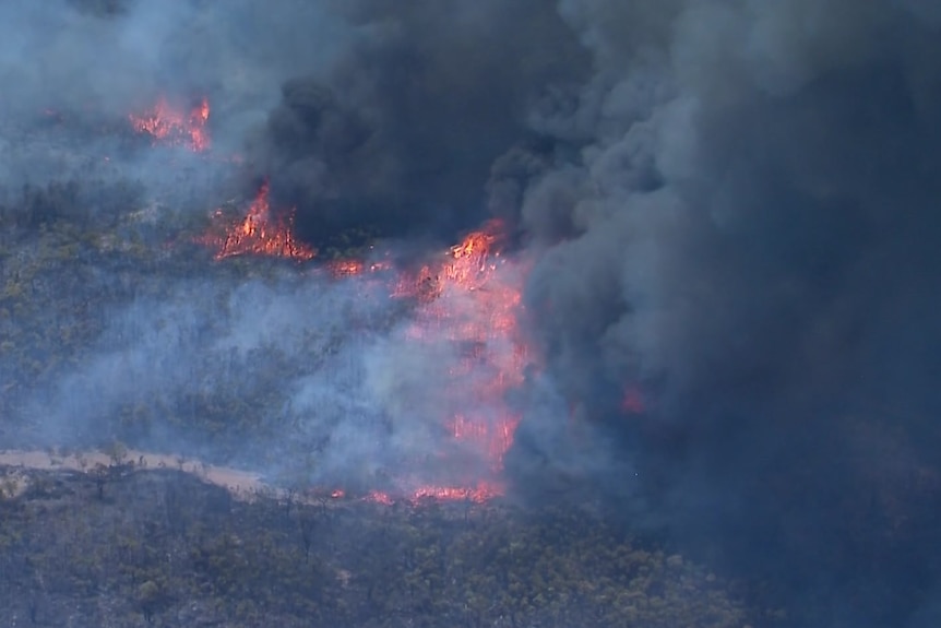 aerial of fires burning in dense bush