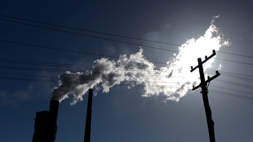 Vapour pours from a mill chimney behind power poles. 