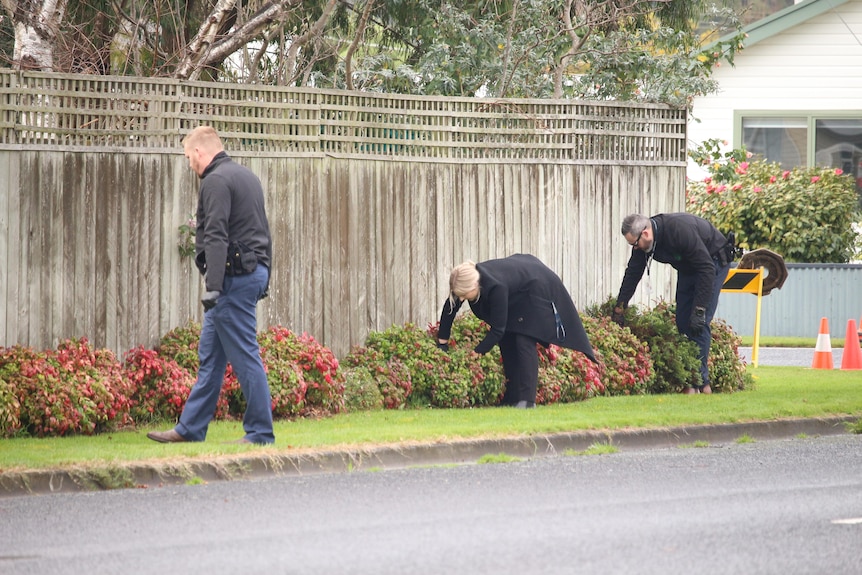 Three people inspect a low line of bushes along a fence.