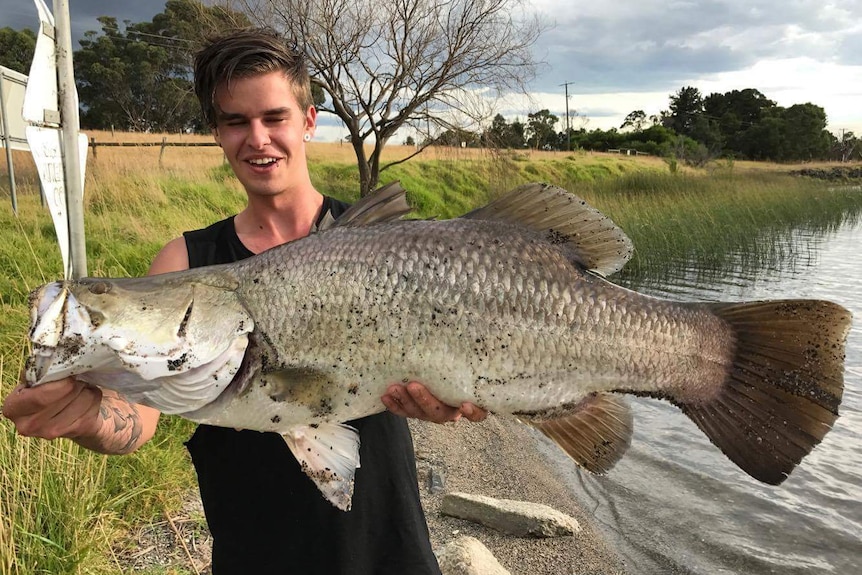 A young man holds up an 80-centimetre barramundi.