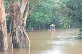 Ex Tropical Cyclone Owen crosses the far north Queensland coast flooding a local park in Cairns.