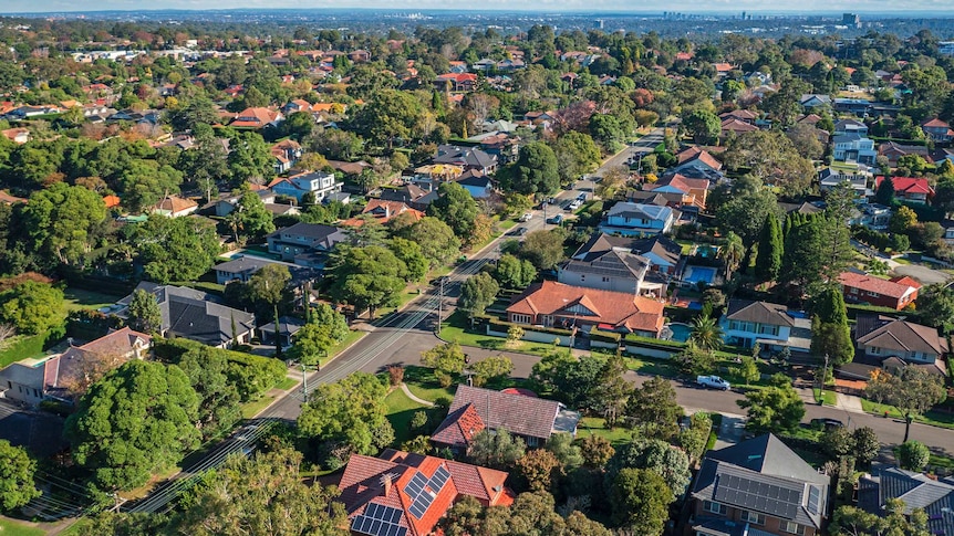 Houses in suburb with leafy green trees, Roseville, Sydney