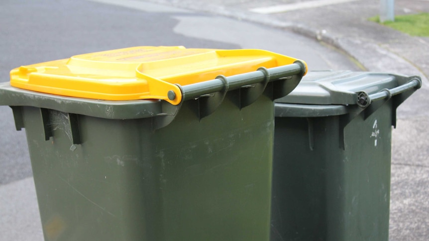 Wheelie bins on a street