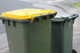 Wheelie bins on a street