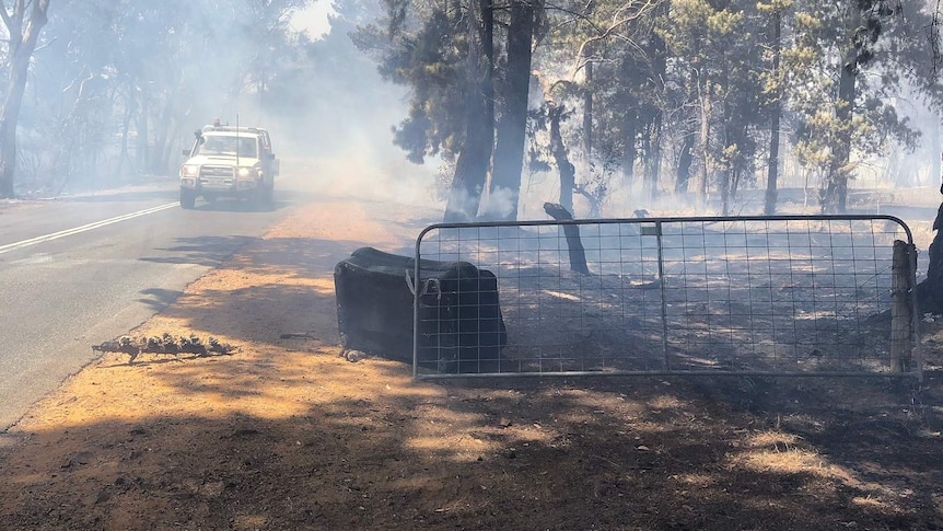 A ute on a smoky road with a farm gate