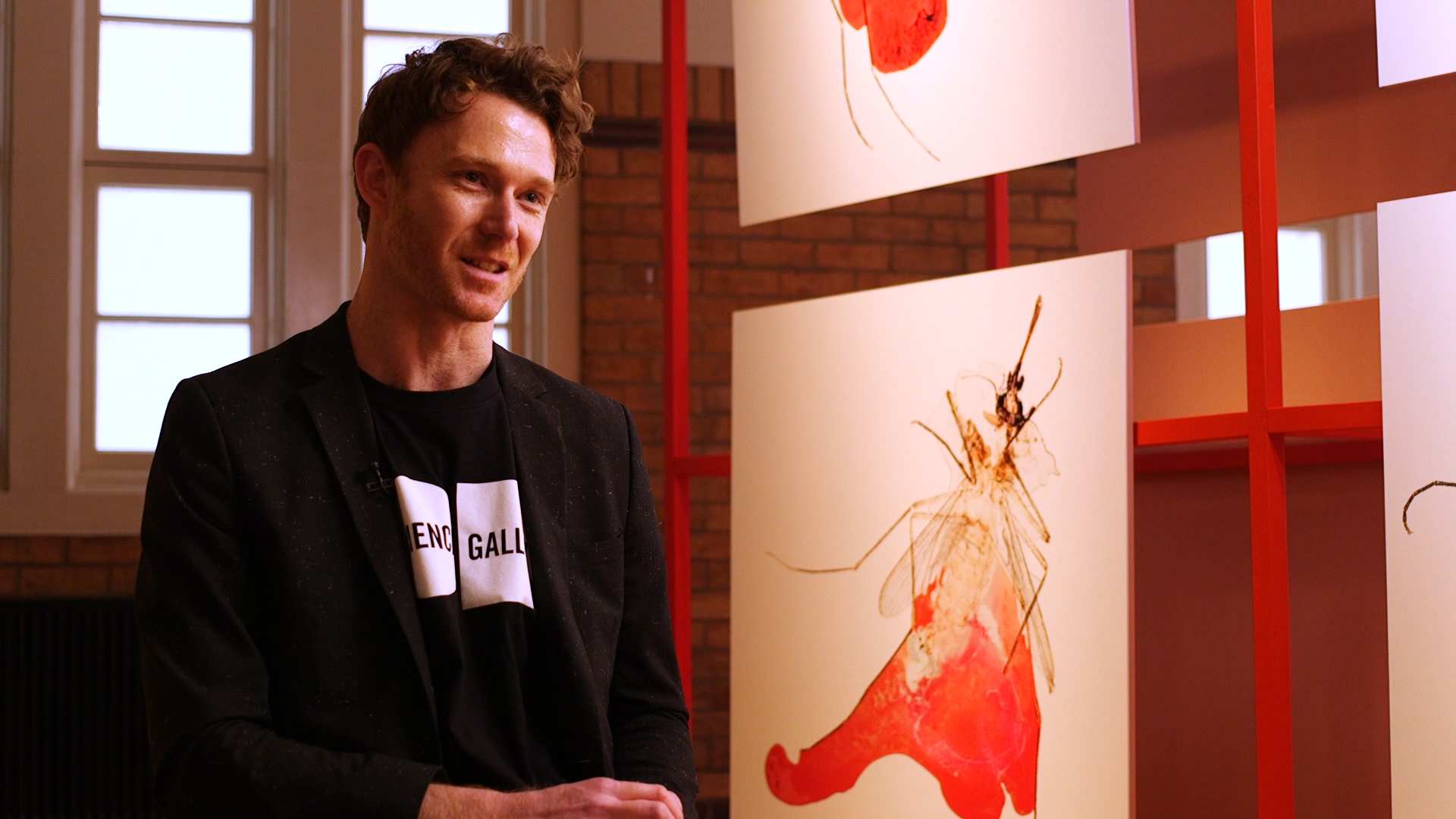 Blood inspires art exhibition at Melbourne Science Gallery - ABC News