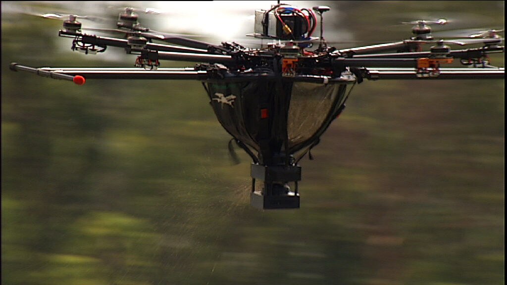 On The Fly - ABC News