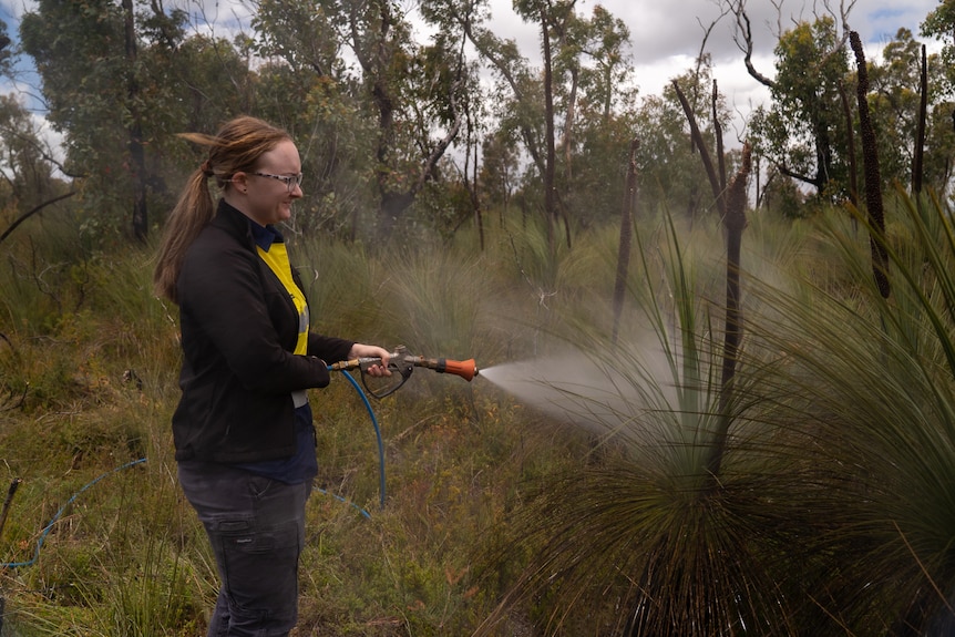 a woman holds a hose and sprays grass trees
