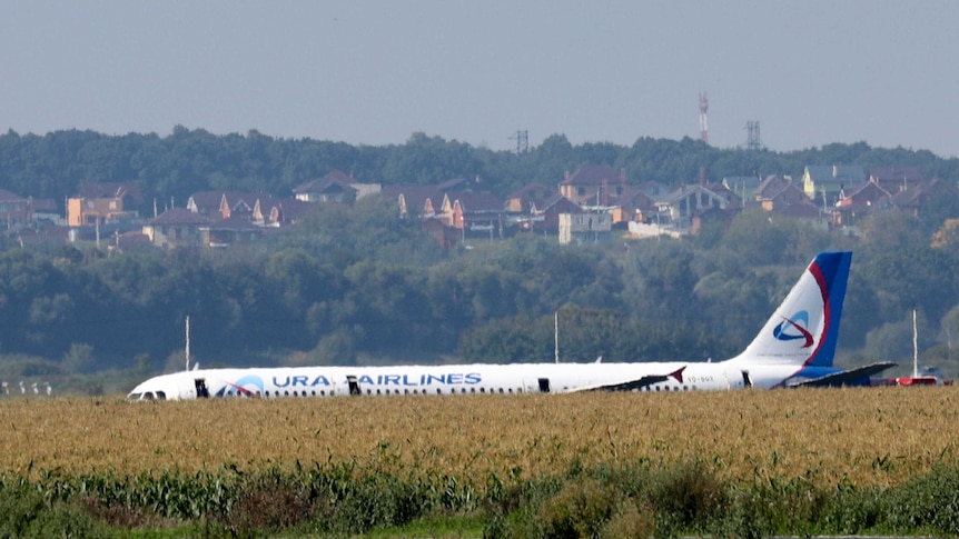 A Russian plane is seen after an emergency landing lying in a cornfield.