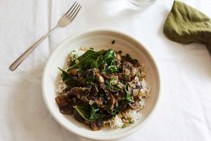 Mushroom stroganoff