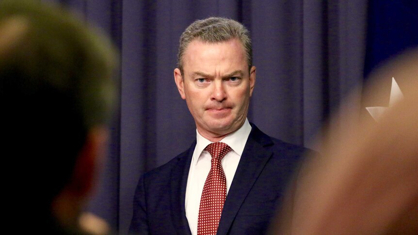 Christopher Pyne, Minister for Defence Industry