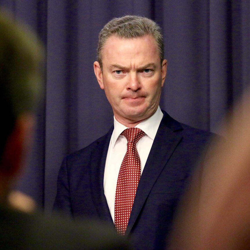Christopher Pyne, Minister for Defence Industry