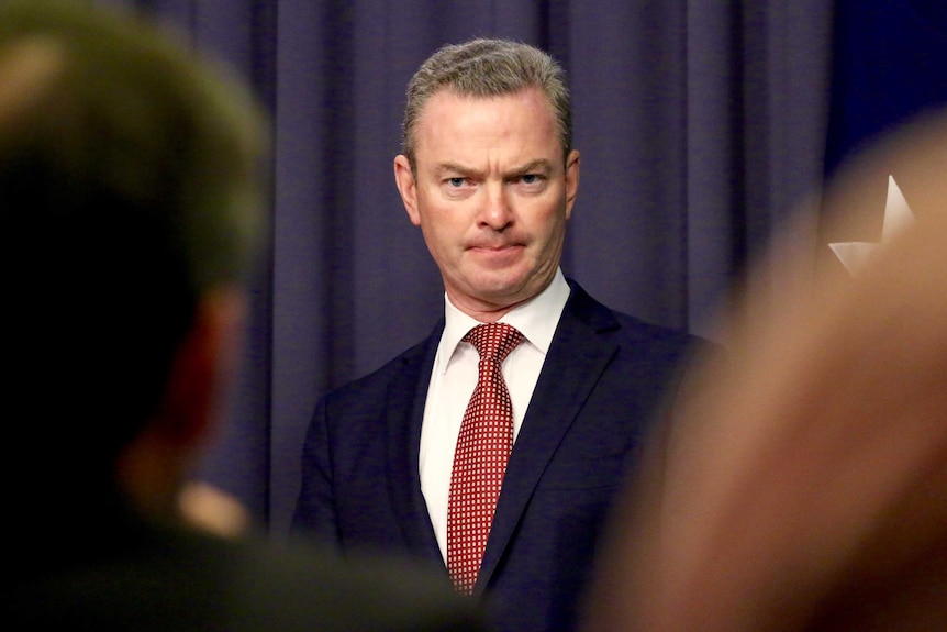 Christopher Pyne during the Senate reform