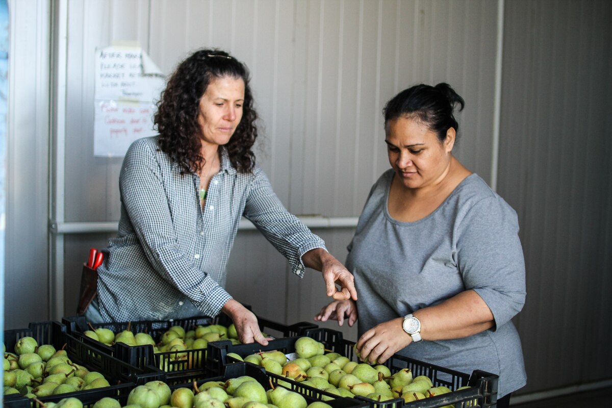 Sharing organic food-growing knowledge across the Pacific - ABC News