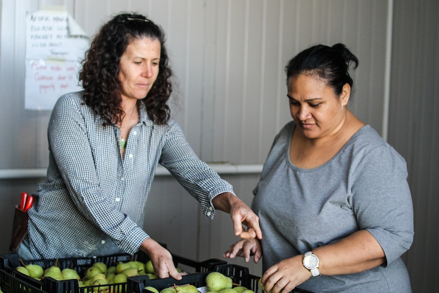 Ms Finlay and  Ms Tauiliili looking at a crate of pears.
