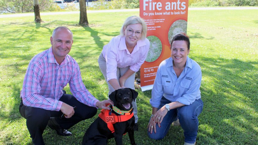 Gladstone state MP Glen Butcher, Qld Agriculture Minister Leanne Donaldson, Biosecurity Qld's Sarah Corcoran and Willow the dog.