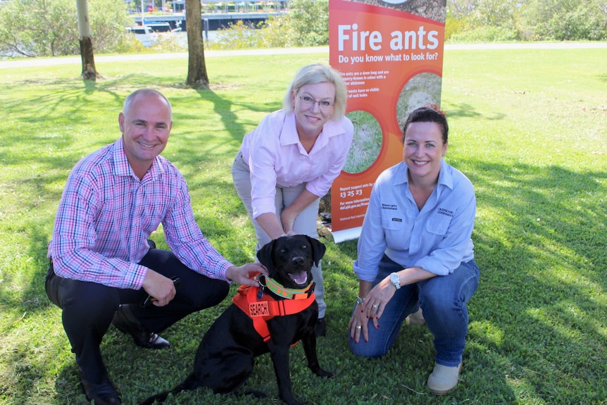 Gladstone state MP Glen Butcher, Qld Agriculture Minister Leanne Donaldson, Biosecurity Qld's Sarah Corcoran and Willow the dog.