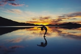 Person doing a backbend on a beach with the sun rising in the background.