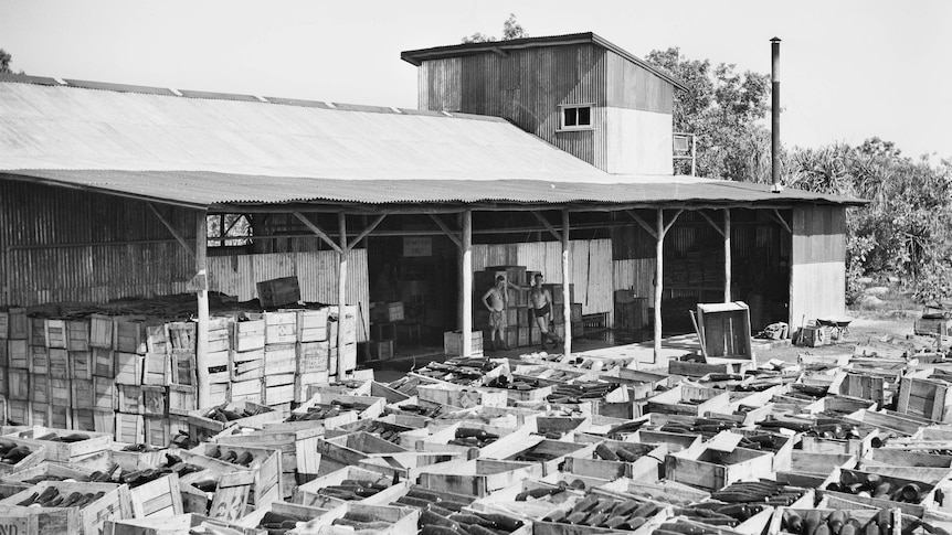 monochrome of old shed surrounded by thousands of empty bottles.