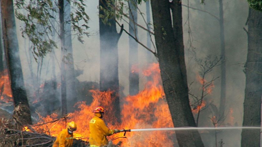 Members of the CFA tackle a bushfire at Bunyip