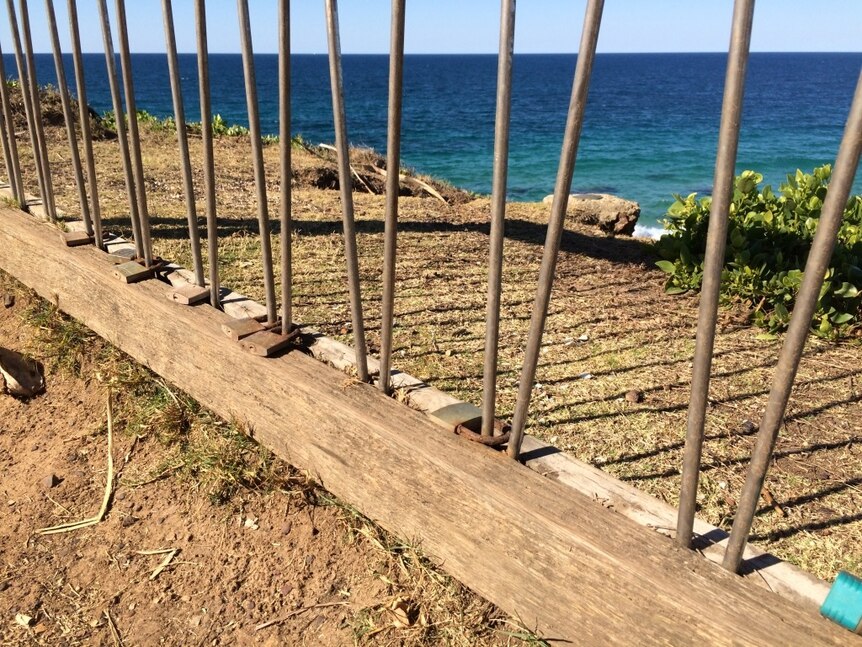 A row of metal poles along a beachfront cliff with padlocks at the bottom of the poles.