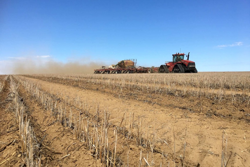 A large tractor moves through a dry crop with a dust trail behind it on a sunny day.