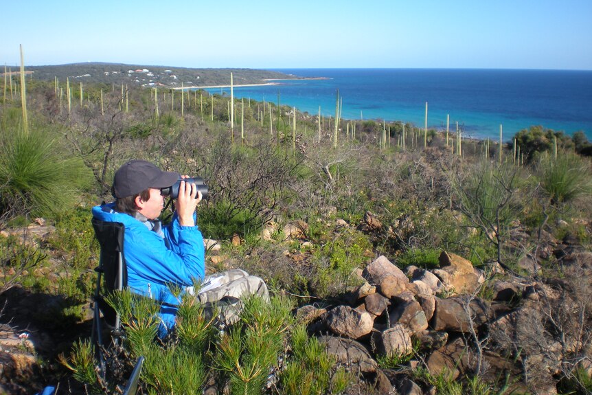 Man on chair with binoculars looking at coast