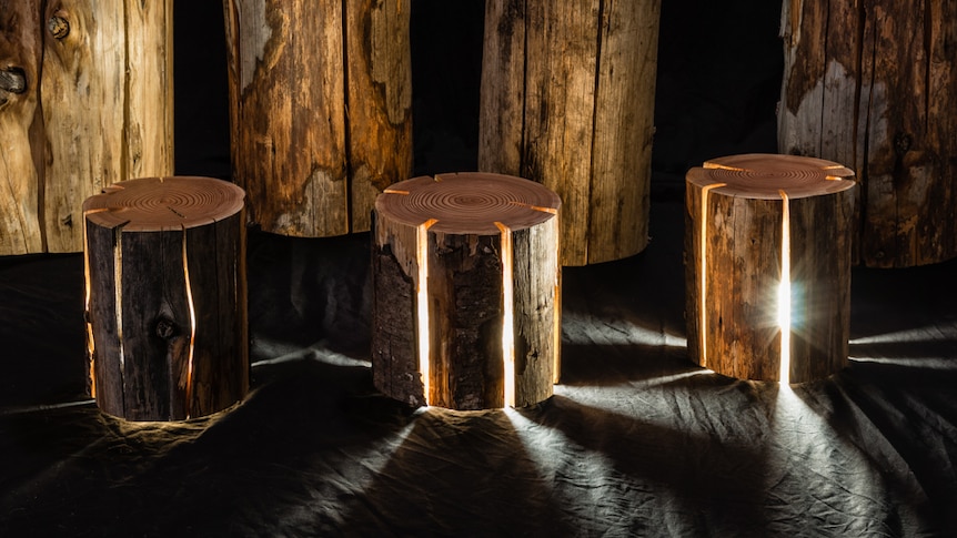 Three cracked log lamps created from Tasmanian wood by legally blind Hobart furniture designer Duncan Meerding.