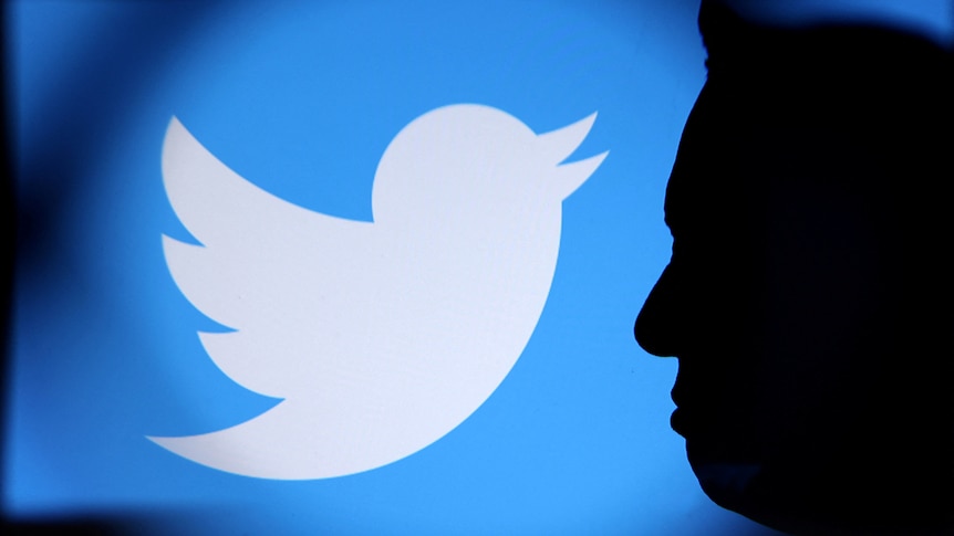 a silhouette of Elon Musk is superimposed on an image of the Twitter logo