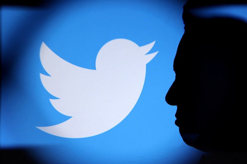 a silhouette of Elon Musk is superimposed on an image of the Twitter logo