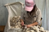 Sam Wan sorting wool 2